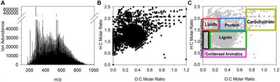 Microbial Community Response to Terrestrially Derived Dissolved Organic Matter in the Coastal Arctic